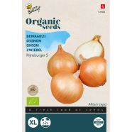 Onion Rijnsburger 5 ORGANIC Seeds